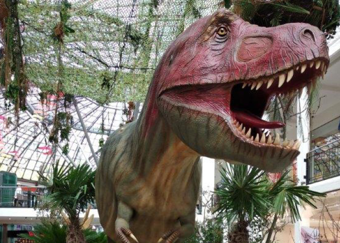 Zurück zu den Dinos - Der Tyrannosaurus Rex